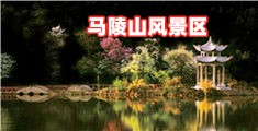 舔小穴插逼免费观看