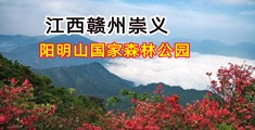 黑丝美女被捅自卫网站
